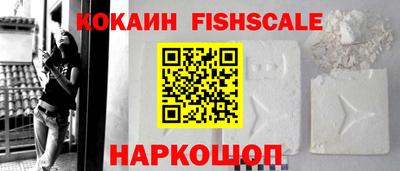 СК Кингисепп