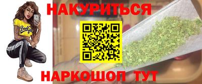 СК Кингисепп