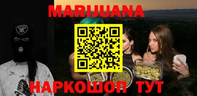 СК Кингисепп