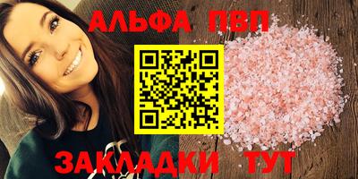СК Кингисепп