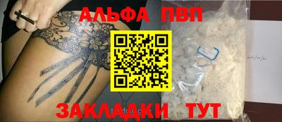 СК Кингисепп