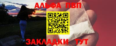 СК Кингисепп