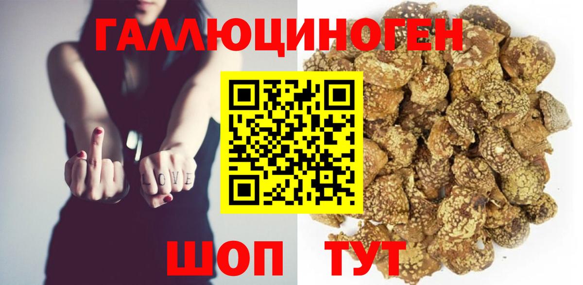 Псилоцибиновые грибы Cubensis Кстово