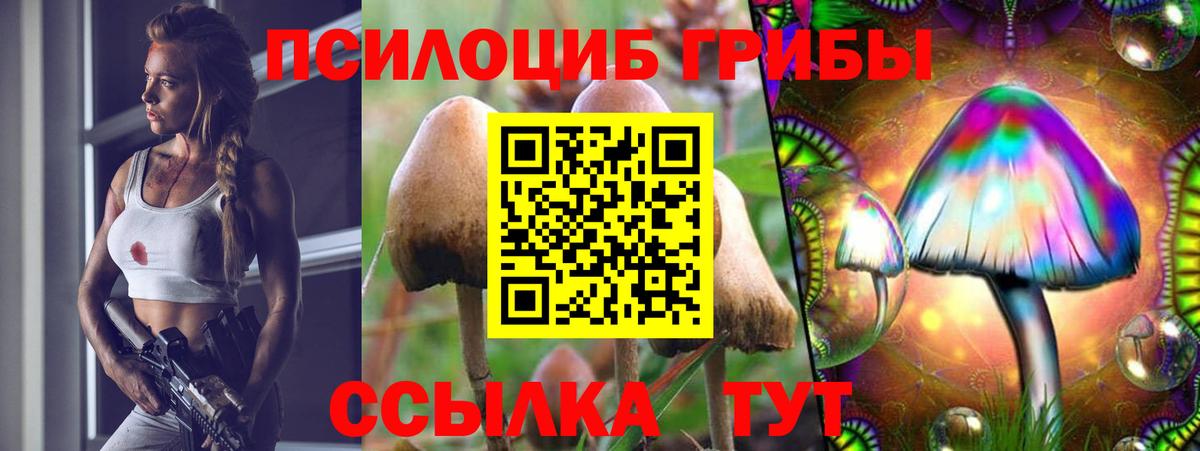 Псилоцибиновые грибы ЛСД  Вход с VPN  Псилоцибиновые грибы GOLDEN TEACHER  Кстово 